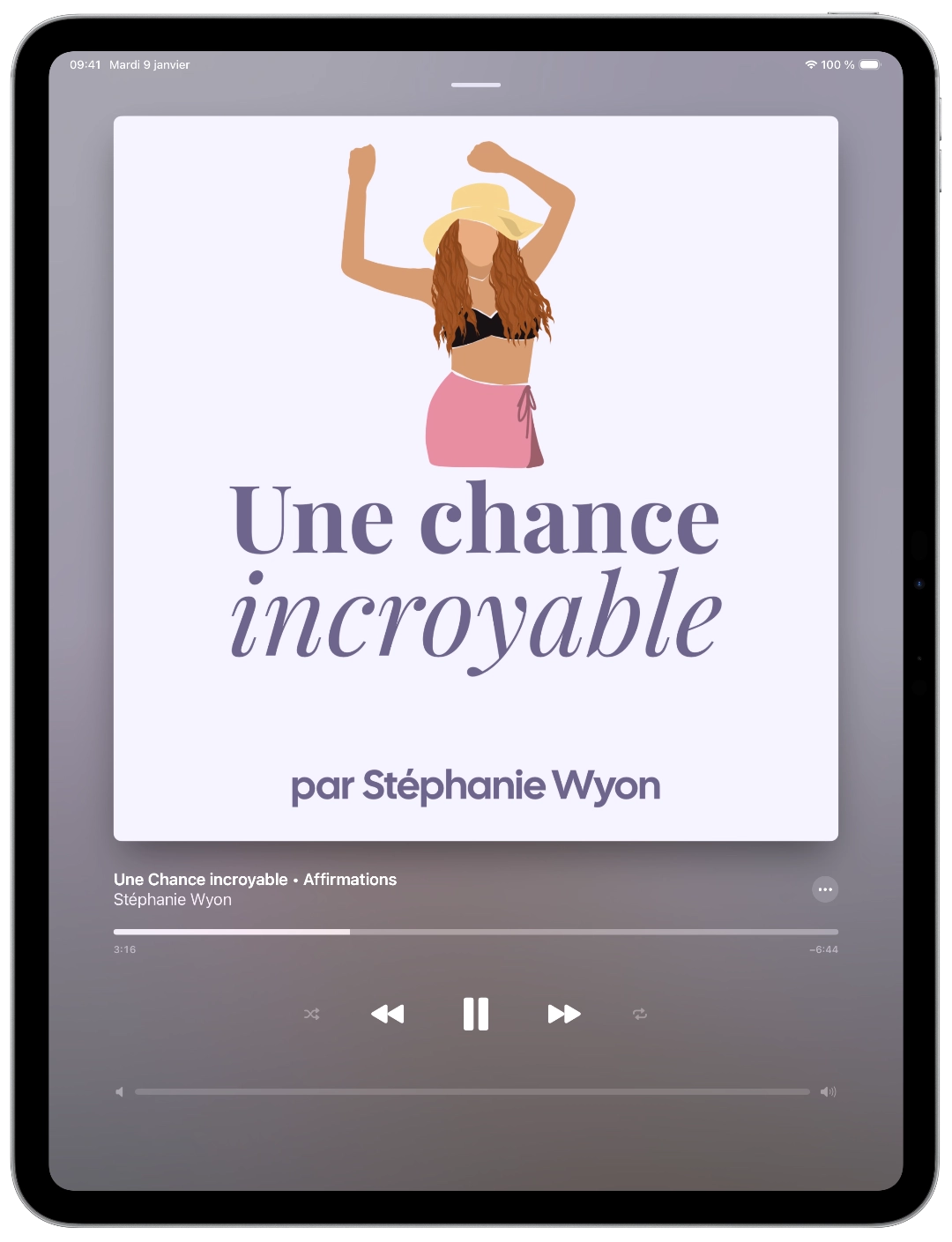 Une chance incroyable — visuel portrait